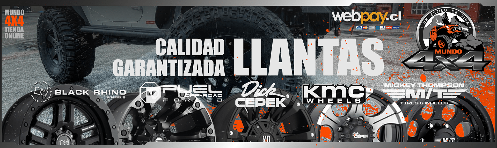 Segunda imagen del proyecto